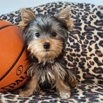 Tarrot19738912's profile picture. Fragrance Lover🔆Mini Mia 💋