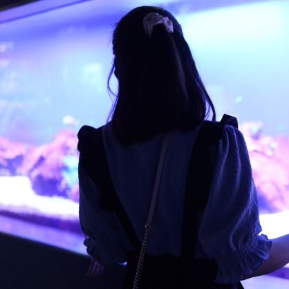 minifigupooh's profile picture. ミニフィグ・ぷー🐻です！ミニフィグ大好き♥ミニフィグ、レゴ好きと繋がりたい！ミニフィグ軍団(300体以上)    ♥他:プーさん、ディズニー、お笑い、スンスン、ちいかわ、もぐらコロッケ、なにわ男子、miffy、謎解き♥