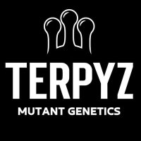 TERPYZ MUTANT GENETICS(@TerpyzGenetics) 's Twitter Profile Photo