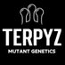 TERPYZ MUTANT GENETICS (@TerpyzGenetics) Twitter profile photo