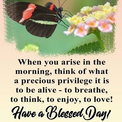 Bolanle72280997's profile picture. 