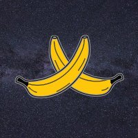 2021: An Ape Odyssey (@anapeodysseynft) 's Twitter Profile