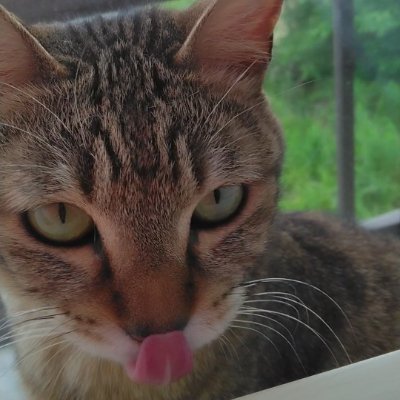 muutaro28's profile picture. 