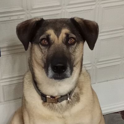 citizen9236's profile picture. 