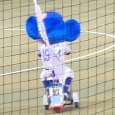 ▷関東住み▷ドアラにハマり野球観戦はじめました🐨⚾️▷中日ドラゴンズ #45 #58 #90