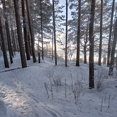 LifeCycles7's profile picture. well