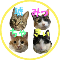 琥みっちゃきぃ@保護猫 (@masa_chal) 's Twitter Profile Photo 琥みっちゃきぃ@保護猫 (@masa_chal) 's Twitter Profile Photo