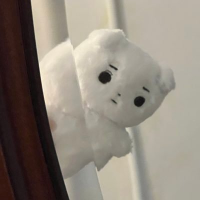 maljoo113's profile picture. 말티주