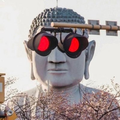 qinmeng77's profile picture. 