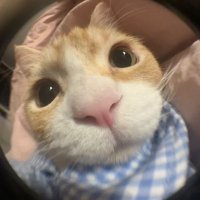 vin.cestore (@vinc_store) 's Twitter Profile