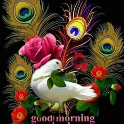 ChandrankathirR's profile picture. 