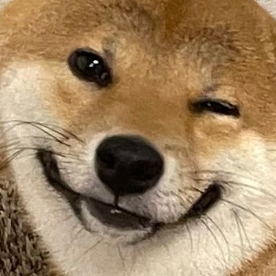 seseri_3's profile picture. 2022.4.17生まれ #柴犬 ♀名前『せせり』お家記念日7.13！念願の柴犬ですが毎日奮闘しながら楽しく過ごしてます。柴犬の魅力は無限だぁー！#犬好き さんと仲良くなりたい♡ 気軽にフォロー&いいね宜しくどうぞ(* ॑꒳ ॑*)心動いたら勝手にリツイートしてしまう病。無言フォロー申し訳。