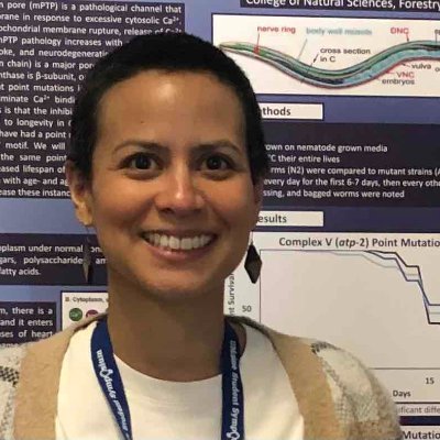 Angeli Lab Profile