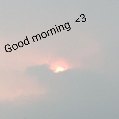 SunVibes154's profile picture. 