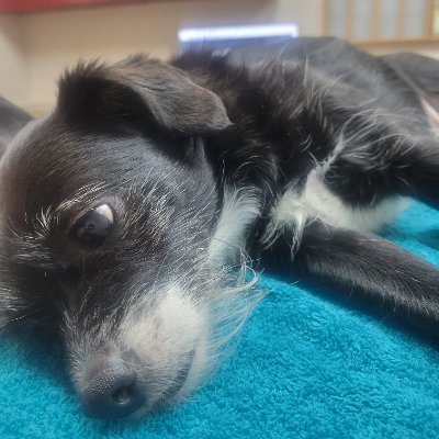 bob_hais's profile picture. Not everyone's cup of tea, but hopefully someone's energy drink.

You can stand me up at the gates of hell, but I won't back down! - Tom Petty