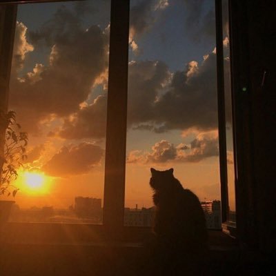 يا مقلِّبَ القلوبِ ثَبِّتْ قلبِي على دينِك ♡