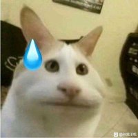 不可燃废气 (@zachlllvvv) 's Twitter Profile