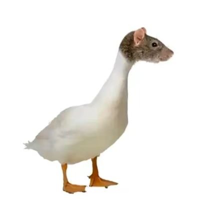 xiongqiao1984's profile picture. 呀呀呀呀呀呀呀呀