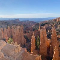 Patriot2025@COVID1984 (@s05521369) 's Twitter Profile