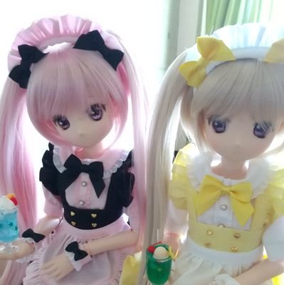 アゾンのみうちゃんにハマって10年以上経つドール者だけど1/3ドールを買ったのはアゾンのあんなちゃんが初めてで楽しい日々を過ごしております。
無言フォロー失礼します。