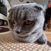 muwiks_ (@muwiks_) Twitter profile photo muwiks_ (@muwiks_) Twitter profile photo