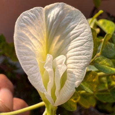 asnandakumar's profile picture. 