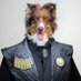 golden pup (@golden_pup) Twitter profile photo golden pup (@golden_pup) Twitter profile photo