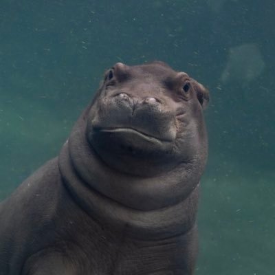 kels0o0o0o's profile picture. 