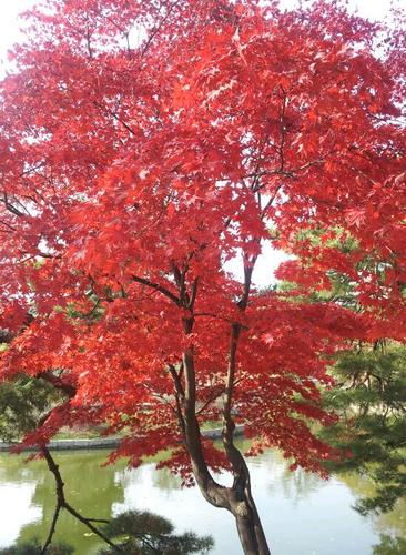 itl6868's profile picture. 