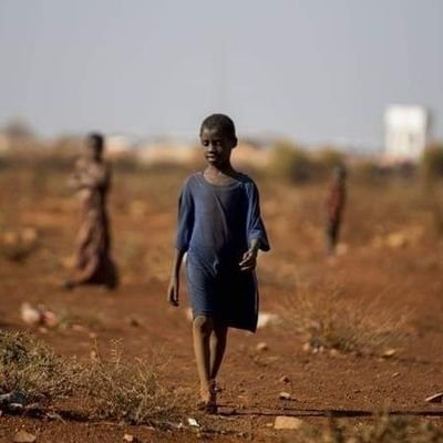 Raising awareness about droughts in Somalia and promoting initiatives for sustainable solutions.