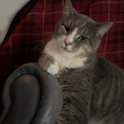 MoodyMilly1324's profile picture. 