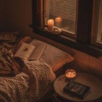 Cheese Cake (@cheesebirb) 's Twitter Profile