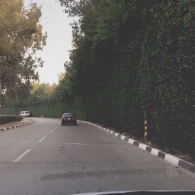 qpwo73's profile picture.