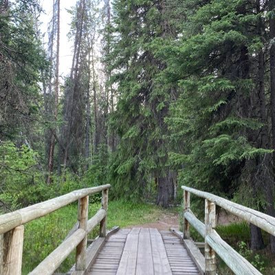 kianairan83_04's profile picture. I’m waiting for my turn