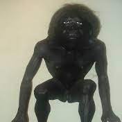 mamahuevorico's profile picture. uff la macumba titi titi el negro te encuentra y coje rico por el super ano toma toma toma velezolana rica