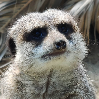 sadrunken's profile picture. 