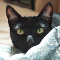 Patri (@p_bper) 's Twitter Profile