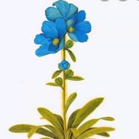 སྦས་ཁྲི་ཤེས། (@rolang888) 's Twitter Profile Photo སྦས་ཁྲི་ཤེས། (@rolang888) 's Twitter Profile Photo