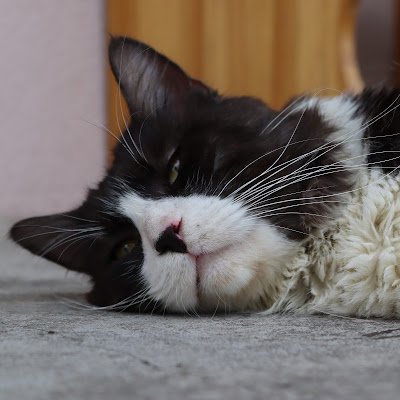 parulska88926's profile picture. 