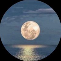 TruthSeeker73(@13orangesbc) 's Twitter Profile Photo