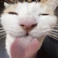 HenryM (@texch_) 's Twitter Profile