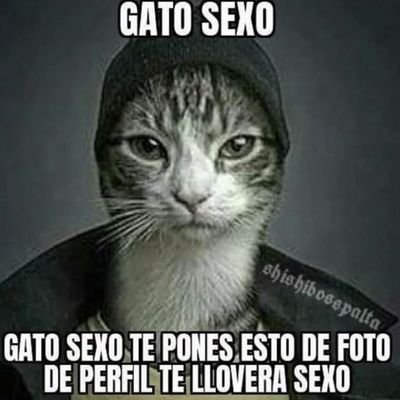 Dead_327's profile picture. 18 years of life and an annoying guy (me)