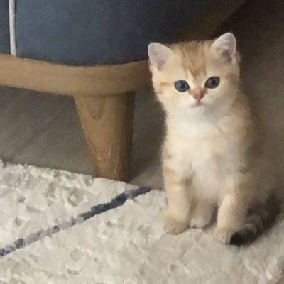 e_ozsk's profile picture. 