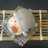 PONTA308's profile image