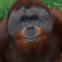 biznes miner (@wilmothfbzfqt) 's Twitter Profile