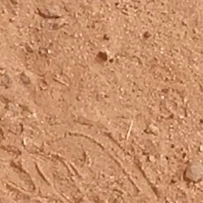 thikforall's profile picture. 