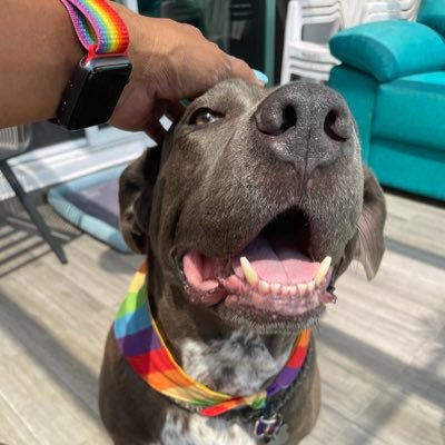 nanidip's profile picture. 