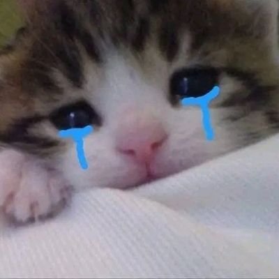 soyEdann's profile picture. 