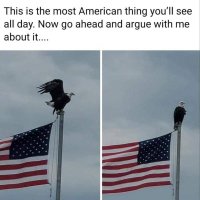 Chris 🇺🇲 (@nywoodrow) 's Twitter Profile