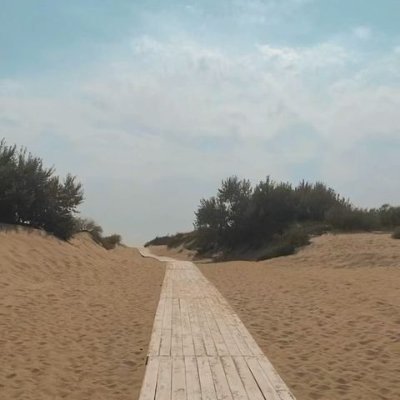 david01965's profile picture. 